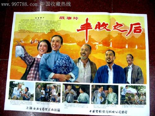 定制爱尔兰驾照